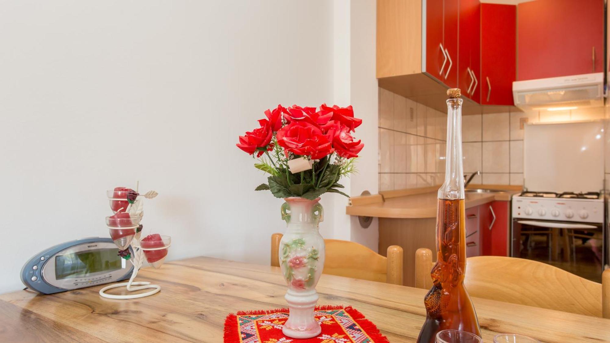 Apartment Branko Šilo Cameră foto